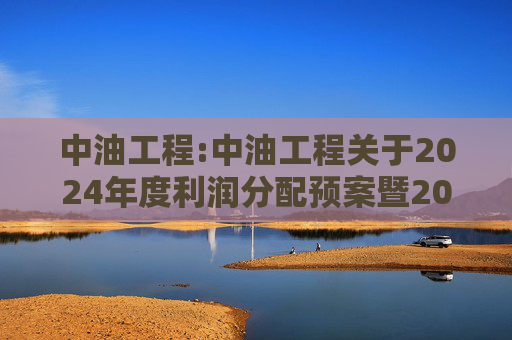 中油工程:中油工程关于2024年度利润分配预案暨2025年中期现金分红有关事项授权的公告