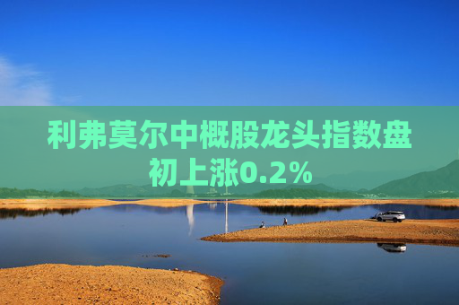 利弗莫尔中概股龙头指数盘初上涨0.2%