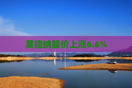 莫德纳股价上涨6.6%