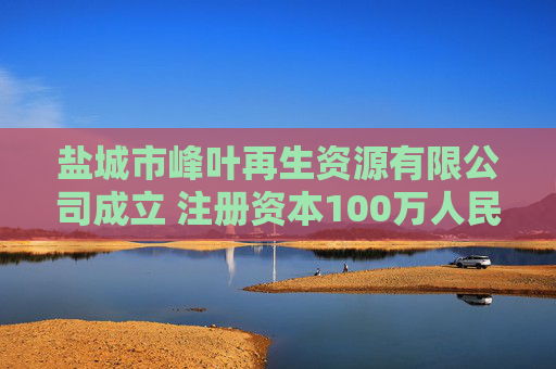 盐城市峰叶再生资源有限公司成立 注册资本100万人民币