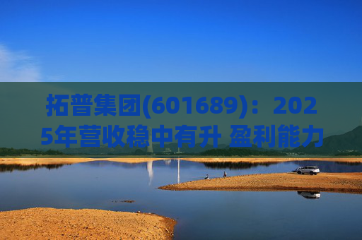拓普集团(601689)：2025年营收稳中有升 盈利能力短期承压