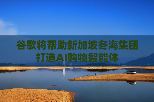 谷歌将帮助新加坡冬海集团打造AI购物智能体