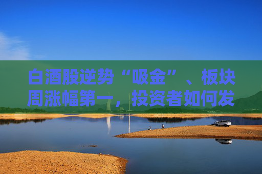 白酒股逆势“吸金”、板块周涨幅第一，投资者如何发掘舍得酒业的“质价比”