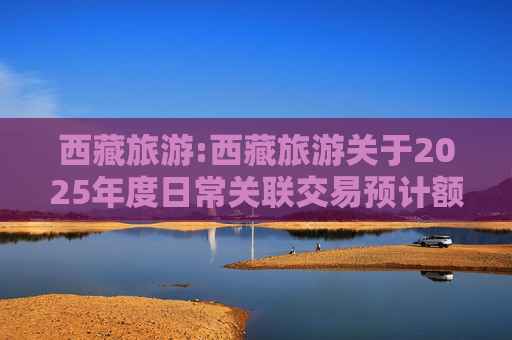 西藏旅游:西藏旅游关于2025年度日常关联交易预计额度的公告  第1张