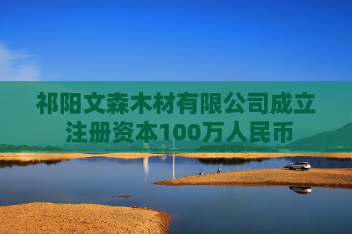祁阳文森木材有限公司成立 注册资本100万人民币