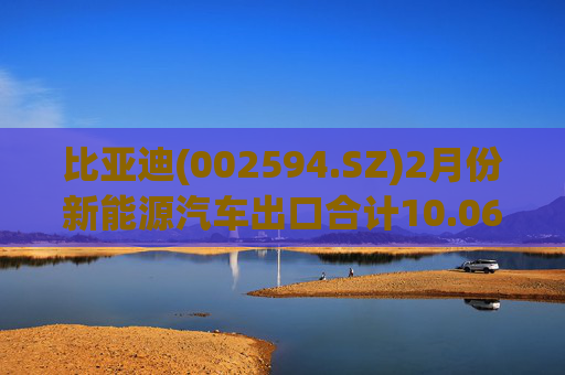 比亚迪(002594.SZ)2月份新能源汽车出口合计10.06万辆