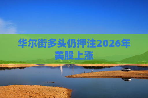 华尔街多头仍押注2026年美股上涨