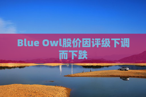 Blue Owl股价因评级下调而下跌