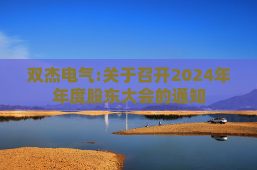 双杰电气:关于召开2024年年度股东大会的通知  第1张