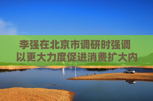 李强在北京市调研时强调 以更大力度促进消费扩大内需做强国内大循环  第1张