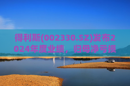 得利斯(002330.SZ)发布2024年度业绩，归母净亏损3367万元  第1张