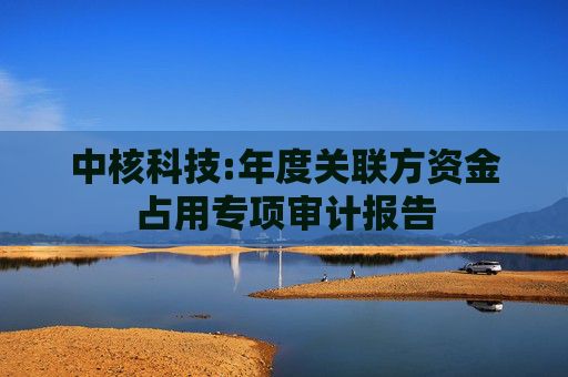 中核科技:年度关联方资金占用专项审计报告