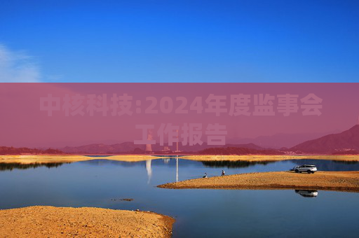 中核科技:2024年度监事会工作报告