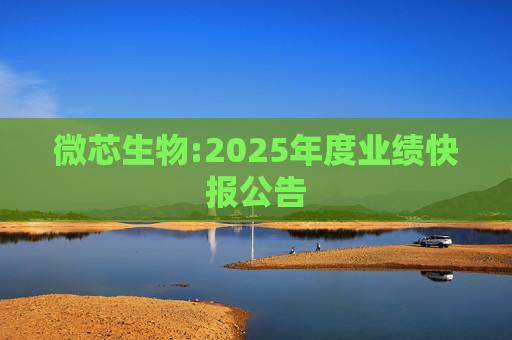 微芯生物:2025年度业绩快报公告