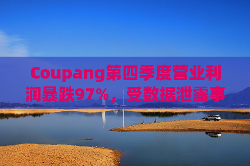Coupang第四季度营业利润暴跌97%，受数据泄露事件影响