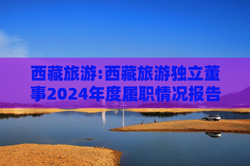 西藏旅游:西藏旅游独立董事2024年度履职情况报告（高金波）