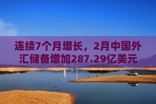 连续7个月增长，2月中国外汇储备增加287.29亿美元