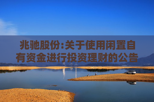兆驰股份:关于使用闲置自有资金进行投资理财的公告