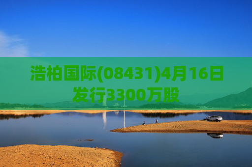 浩柏国际(08431)4月16日发行3300万股