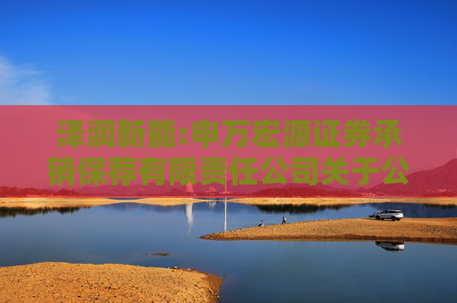 泽润新能:申万宏源证券承销保荐有限责任公司关于公司首次公开发行股票并在创业板上市的发行保荐书