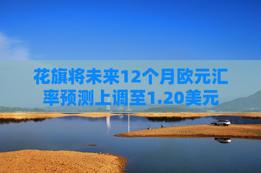 花旗将未来12个月欧元汇率预测上调至1.20美元