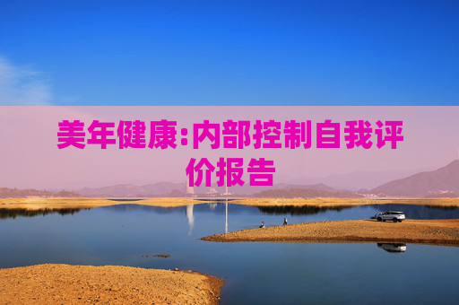 美年健康:内部控制自我评价报告