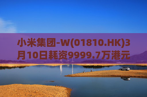 小米集团-W(01810.HK)3月10日耗资9999.7万港元回购297.7万股