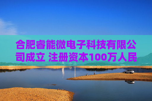 合肥睿能微电子科技有限公司成立 注册资本100万人民币