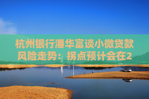 杭州银行潘华富谈小微贷款风险走势：拐点预计会在2025年四季度后开始出现