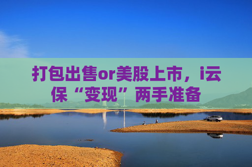 打包出售or美股上市，i云保“变现”两手准备