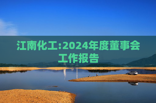 江南化工:2024年度董事会工作报告  第1张