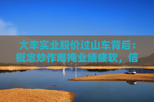 大丰实业股价过山车背后：概念炒作难掩业绩疲软，信披违规暴露治理隐忧  第1张