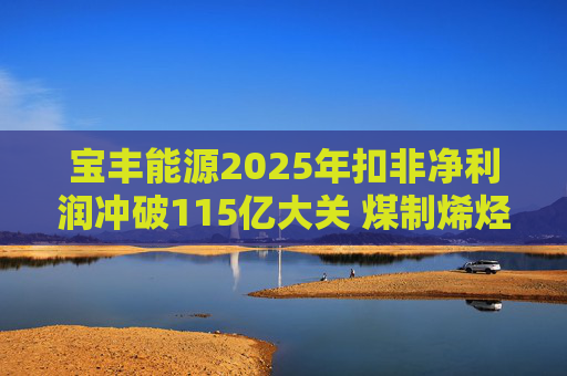 宝丰能源2025年扣非净利润冲破115亿大关 煤制烯烃龙头迎高光时刻