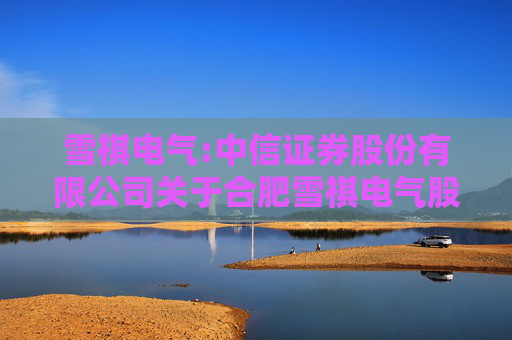 雪祺电气:中信证券股份有限公司关于合肥雪祺电气股份有限公司首次公开发行前已发行股份上市流通的核查意见