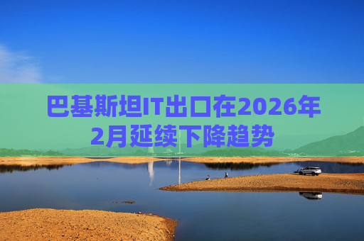 巴基斯坦IT出口在2026年2月延续下降趋势