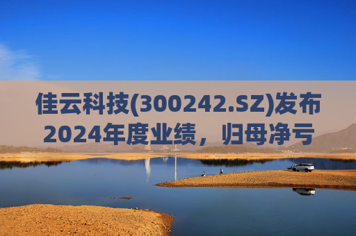 佳云科技(300242.SZ)发布2024年度业绩，归母净亏损1.06亿元，扩大10.93%