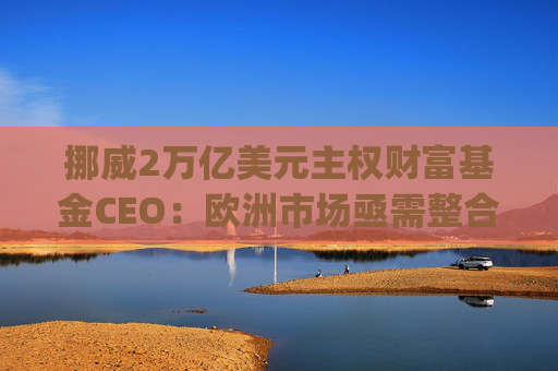 挪威2万亿美元主权财富基金CEO：欧洲市场亟需整合，"赢家通吃"