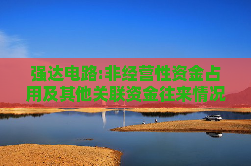 强达电路:非经营性资金占用及其他关联资金往来情况专项说明