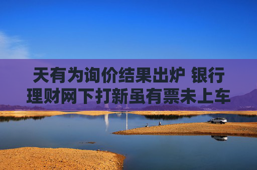 天有为询价结果出炉 银行理财网下打新虽有票未上车