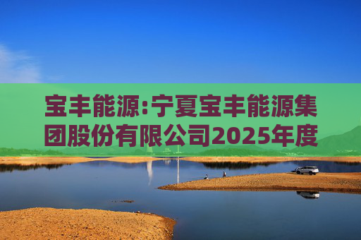 宝丰能源:宁夏宝丰能源集团股份有限公司2025年度独立董事述职报告（孙积禄）
