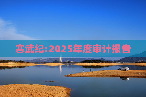 寒武纪:2025年度审计报告