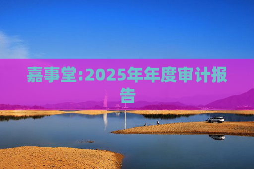 嘉事堂:2025年年度审计报告