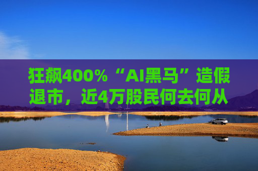 狂飙400%“AI黑马”造假退市，近4万股民何去何从？