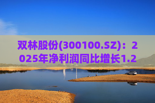 双林股份(300100.SZ)：2025年净利润同比增长1.25% 拟10股派1元
