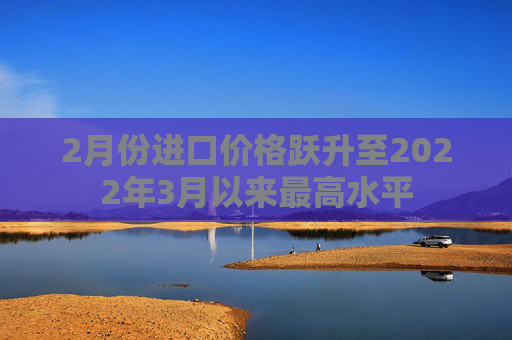 2月份进口价格跃升至2022年3月以来最高水平