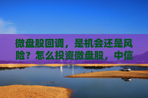 微盘股回调，是机会还是风险？怎么投资微盘股，中信保诚基金经理王颖一次讲清楚了