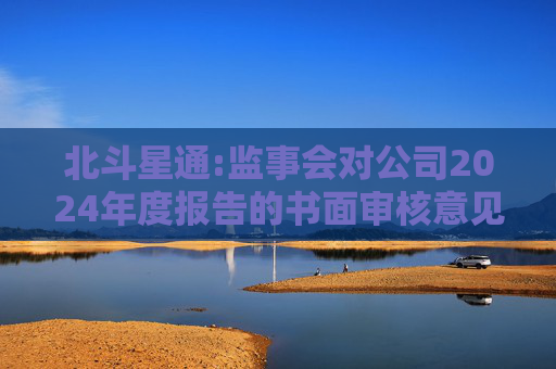 北斗星通:监事会对公司2024年度报告的书面审核意见  第1张