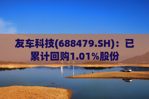 友车科技(688479.SH)：已累计回购1.01%股份