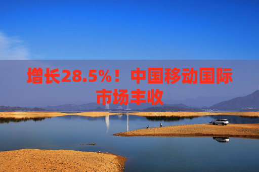增长28.5%！中国移动国际市场丰收