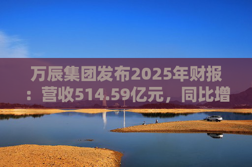 万辰集团发布2025年财报：营收514.59亿元，同比增长59.17%